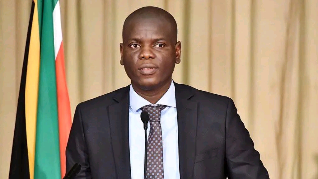 We hope ConCourt’s ruling takes Lungu back home – SA minister
