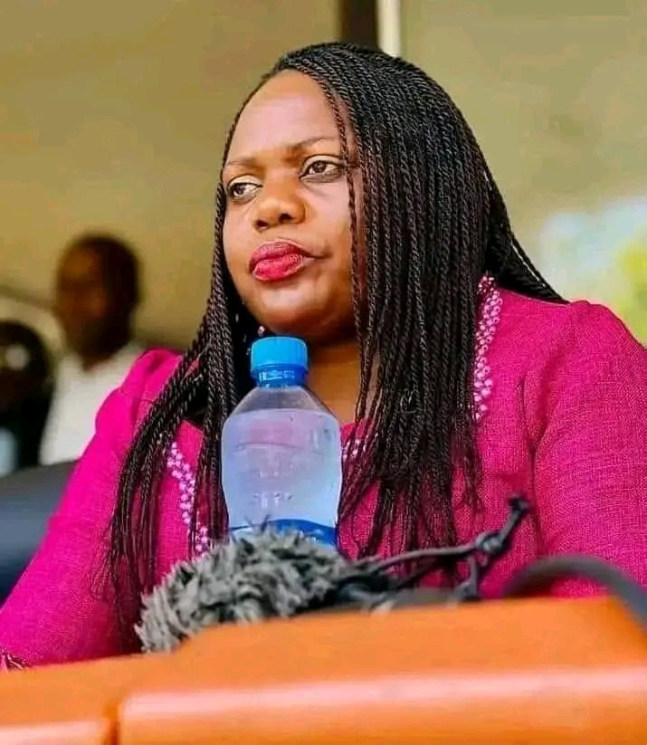 Saboi gives UPND 2 out of 10 score
