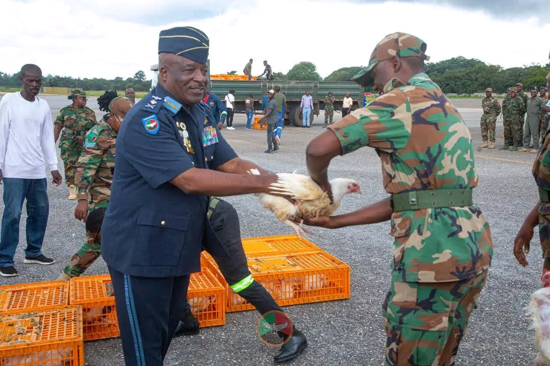 ZAF selling chickens after mealie meal move