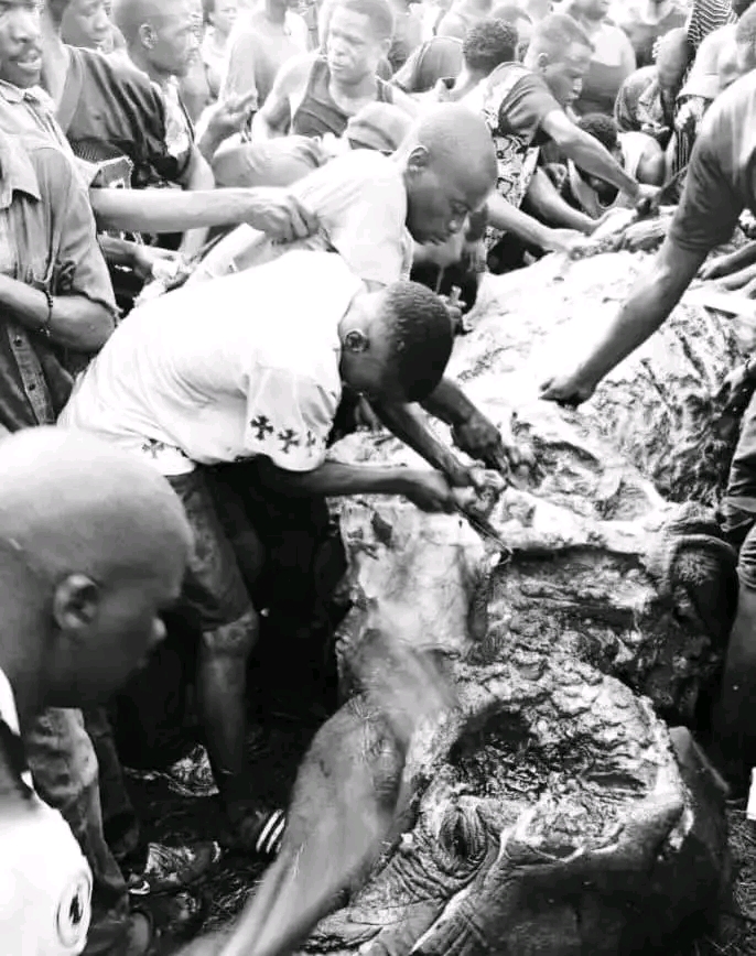 Residents battle with police over elephant carcass