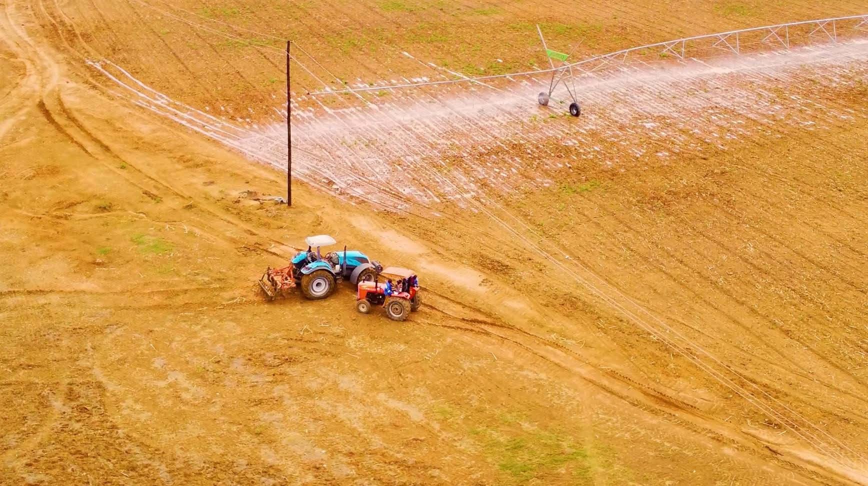 Farmers, agribusinesses report growth under EU-backed financing through local banks